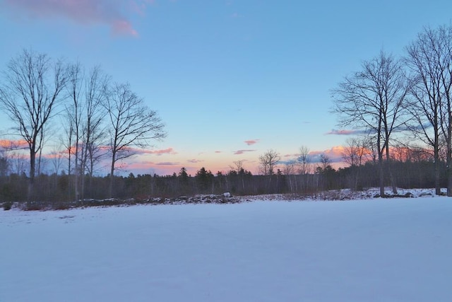 view of yard covered in snow