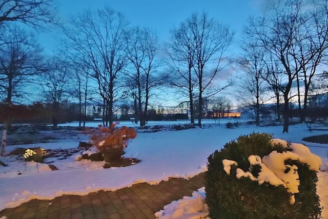 view of snowy yard