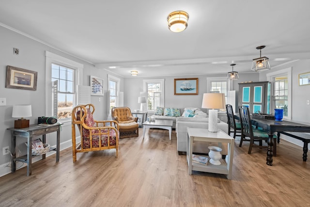 living room with light wood-type flooring