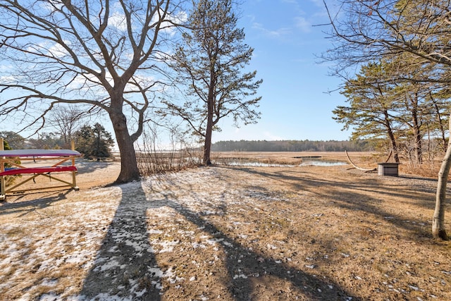 view of yard featuring a rural view