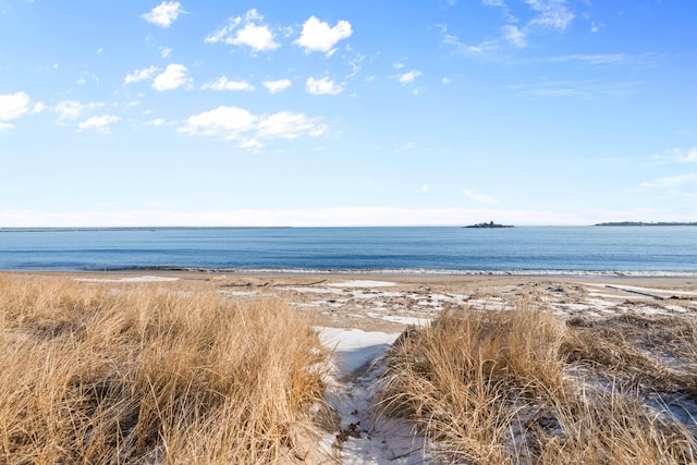 water view with a view of the beach