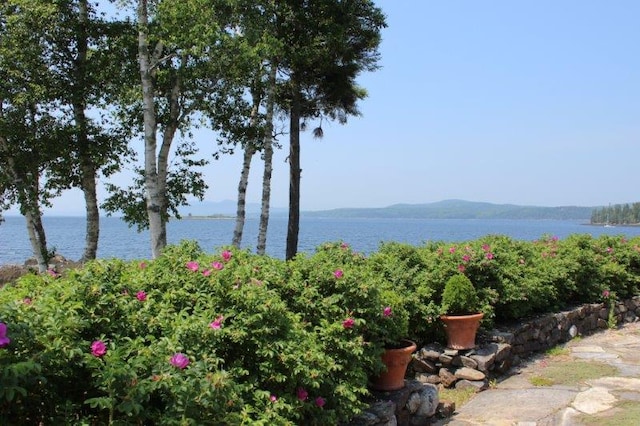 property view of mountains featuring a water view