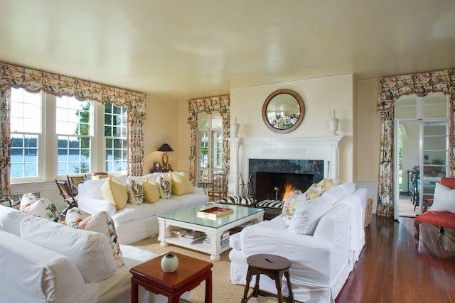 living room with a fireplace, a water view, and dark wood-type flooring