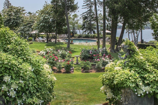 view of yard with a water view