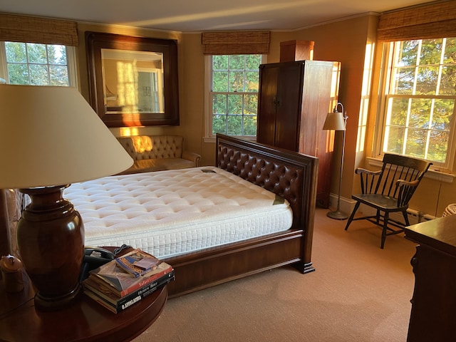 399 Hermits Point Rd, Islesboro, ME 04848 - carpeted bedroom with crown molding