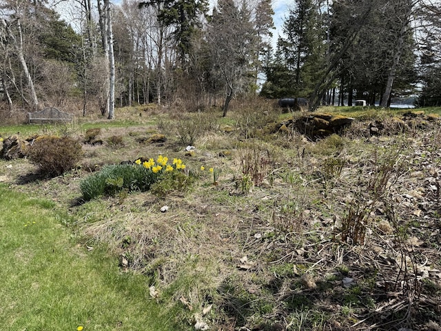 399 Hermits Point Rd, Islesboro, ME 04848 - view of nature