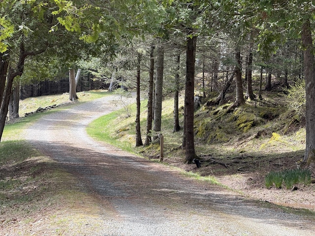 399 Hermits Point Rd, Islesboro, ME 04848 - view of street