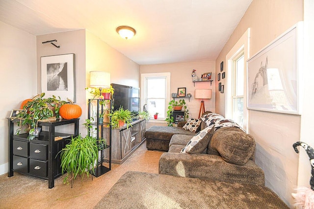 sitting room featuring light carpet