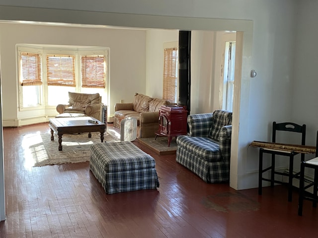 living area featuring dark hardwood / wood-style floors and a wood stove