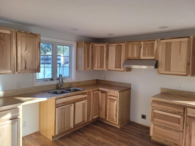 kitchen with dark hardwood / wood-style flooring, sink, and light brown cabinets