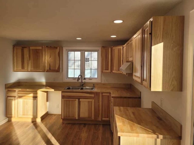 kitchen with ventilation hood, butcher block counters, sink, and dark wood-type flooring