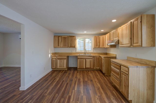 kitchen featuring a sink, under cabinet range hood, baseboards, recessed lighting, and dark wood-style flooring