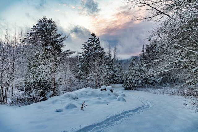 view of snow covered land