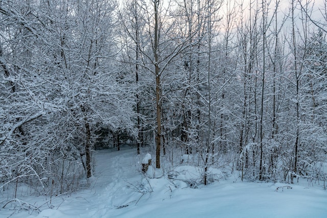 view of snow covered land