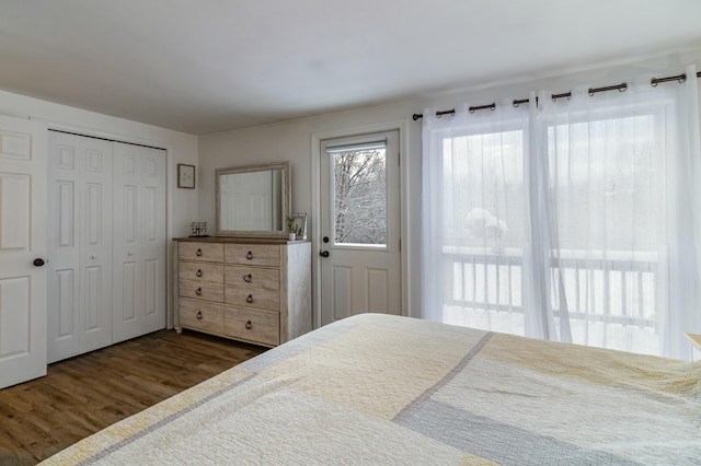 bedroom with dark hardwood / wood-style floors and a closet