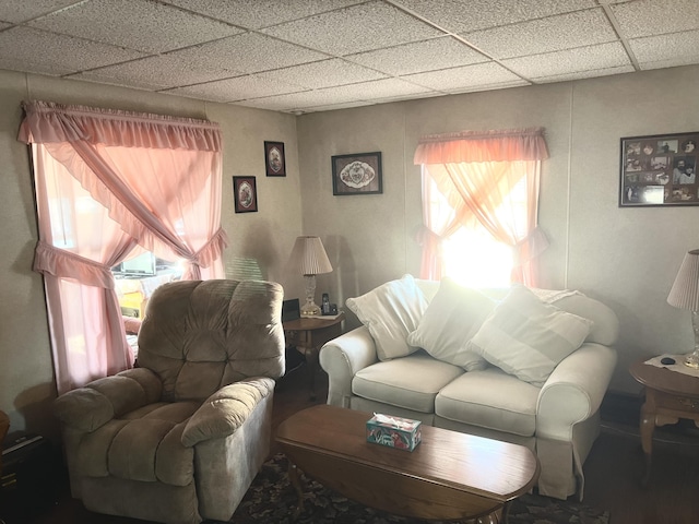 living room featuring a drop ceiling