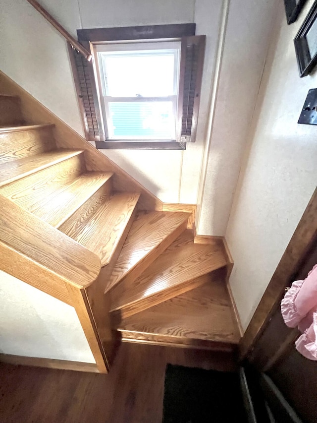 staircase featuring wood-type flooring