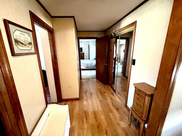 hallway featuring light hardwood / wood-style floors and crown molding