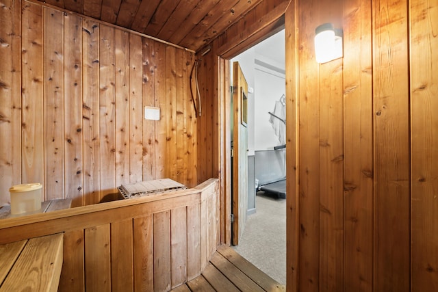 view of sauna / steam room featuring carpet