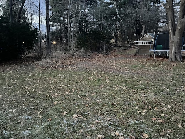 view of yard featuring a trampoline