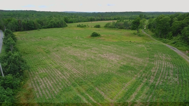 252 Blaine Ave, Guilford, ME 04443 - photo 2