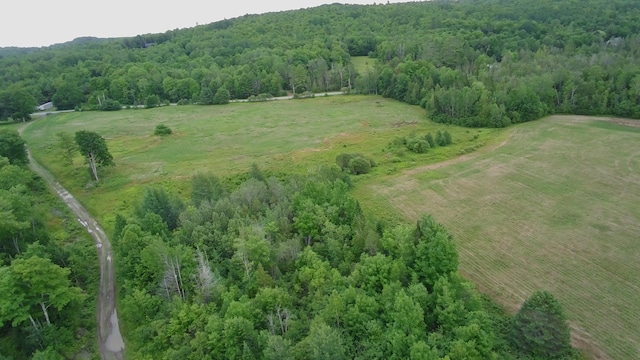 252 Blaine Ave, Guilford, ME 04443 - photo 4