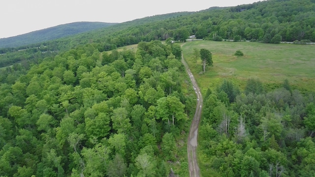 252 Blaine Ave, Guilford, ME 04443 - photo 9