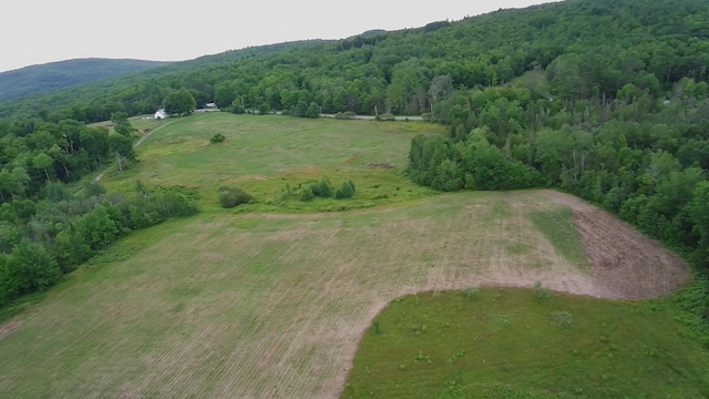 252 Blaine Ave, Guilford, ME 04443 - photo 18