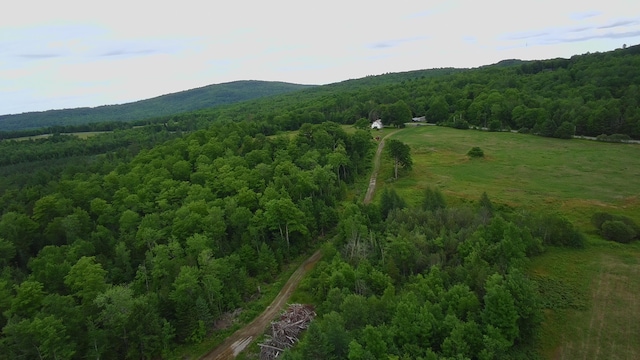 252 Blaine Ave, Guilford, ME 04443 - photo 27
