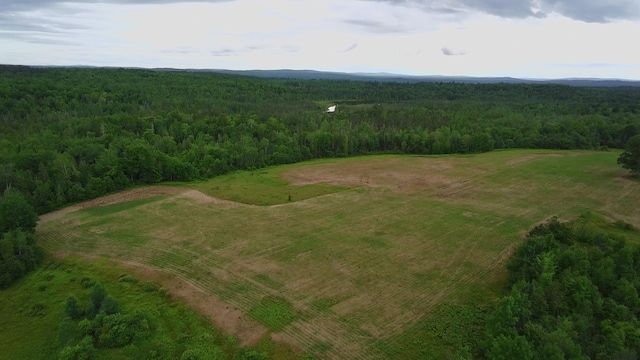 252 Blaine Ave, Guilford, ME 04443 - photo 28