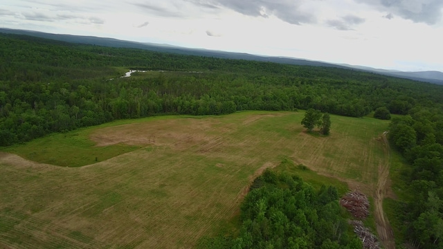 252 Blaine Ave, Guilford, ME 04443 - photo 29