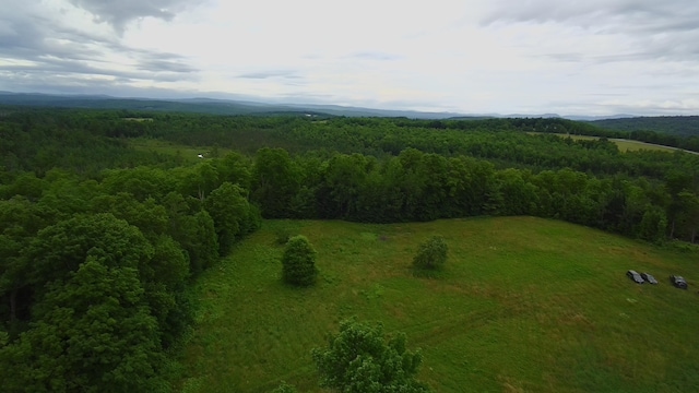 252 Blaine Ave, Guilford, ME 04443 - photo 33