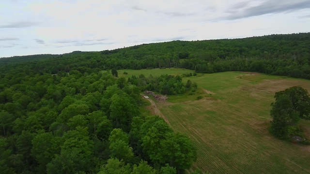 252 Blaine Ave, Guilford, ME 04443 - photo 34