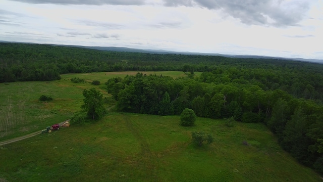 252 Blaine Ave, Guilford, ME 04443 - photo 35