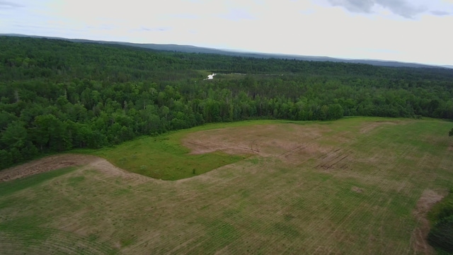 252 Blaine Ave, Guilford, ME 04443 - photo 38