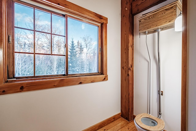 bathroom featuring hardwood / wood-style floors