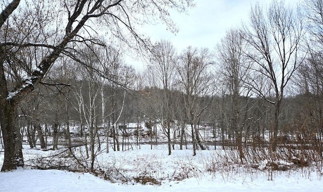 view of snow covered land