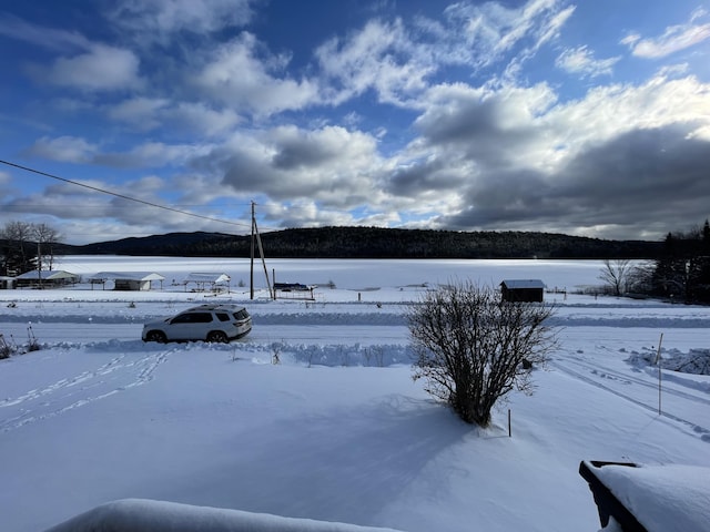 view of snowy yard