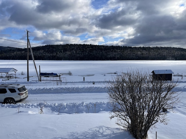 view of snowy yard