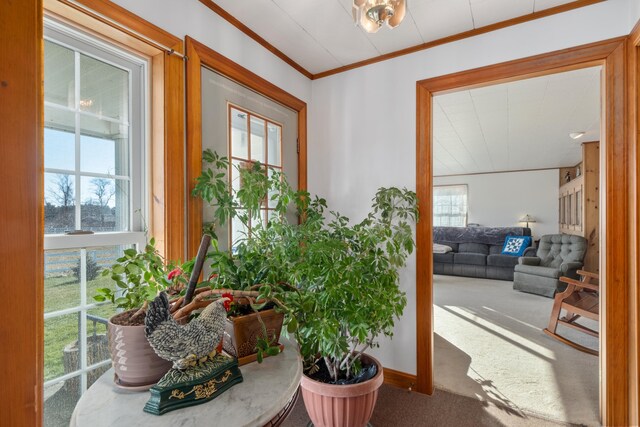 19 Branch Brook Rd, Thomaston, ME 04861 - entryway with crown molding and carpet