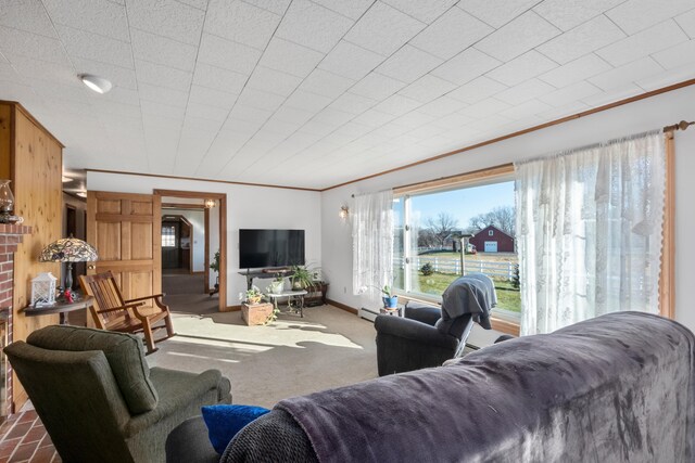 19 Branch Brook Rd, Thomaston, ME 04861 - carpeted living room featuring ornamental molding and a baseboard heating unit