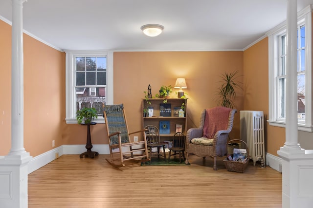 living area with light hardwood / wood-style floors, ornamental molding, radiator, and decorative columns