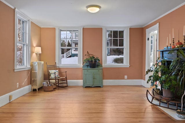 living area with crown molding, radiator heating unit, and light hardwood / wood-style flooring