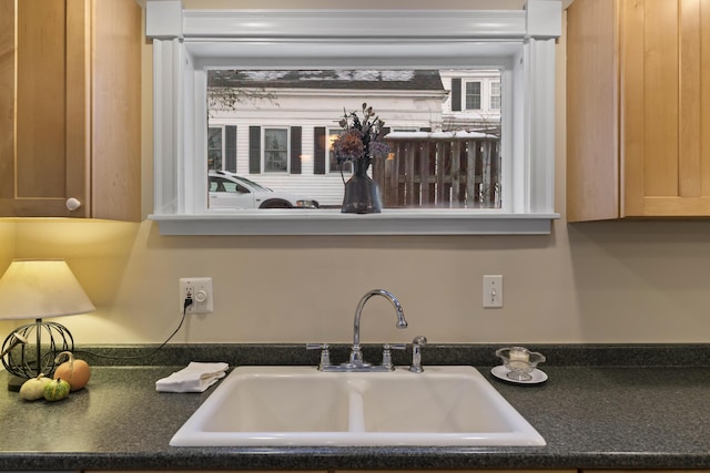 details featuring sink and light brown cabinets