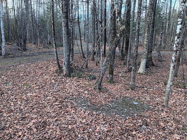MAP10 A Snows Pond Rd, Dover-Foxcroft, ME 04426