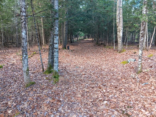 Listing photo 2 for MAP10 A Snows Pond Rd, Dover-Foxcroft ME 04426