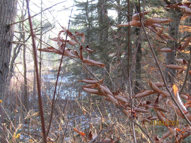 412 Davis St, Brownville, ME 04414 - photo 22
