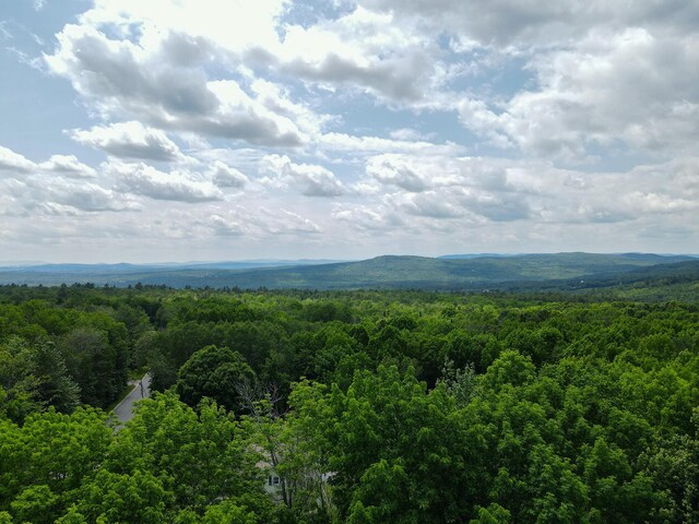 362 Ryerson Hill Rd, Paris, ME 04281 - photo 78