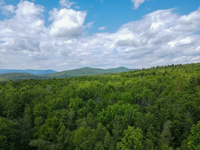 362 Ryerson Hill Rd, Paris, ME 04281 - photo 77