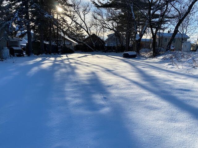 view of snowy yard